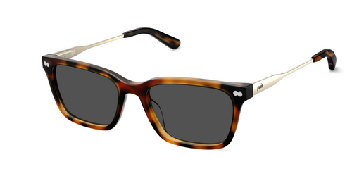 The Larkin - Tortoise Acetate Gold Metal Sun - Pair Eyewear