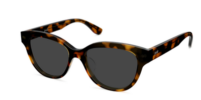 The Quinn - Tortoise Sun - Thumbnail3 - Pair Eyewear