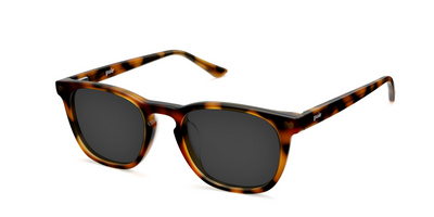 The Twain - Tortoise Sun - Thumbnail3 - Pair Eyewear