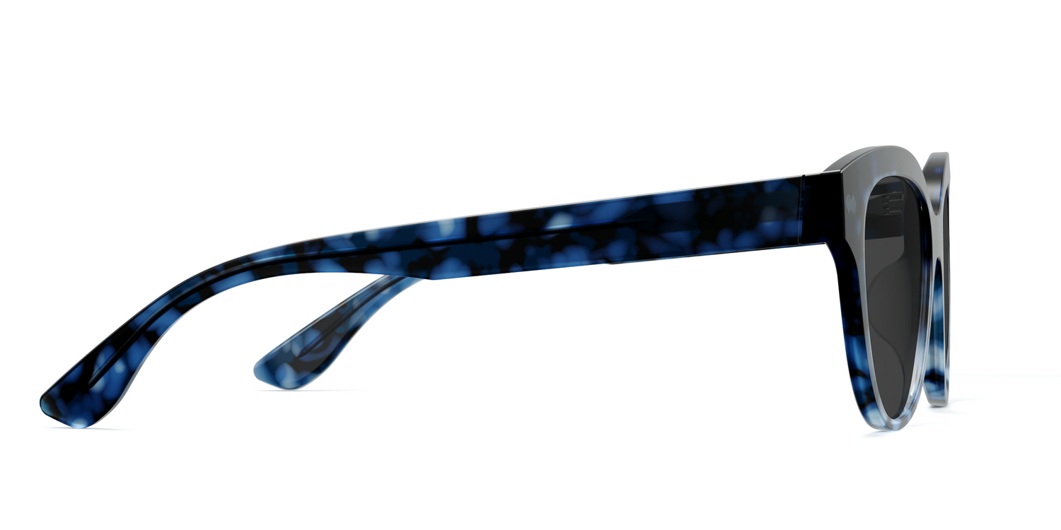 The Quinn - Blue Tortoise Sun - Carousel5 - Pair Eyewear