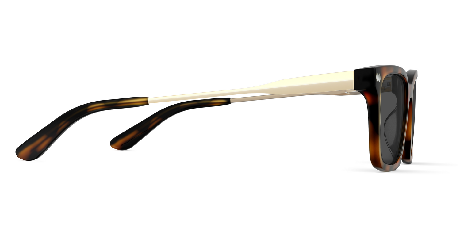 The Larkin - Tortoise Acetate Gold Metal Sun - Carousel5 - Pair Eyewear