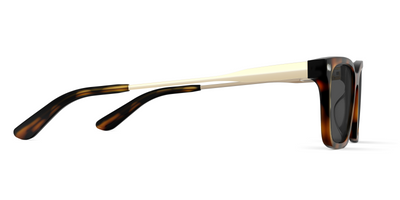 The Larkin - Tortoise Acetate Gold Metal Sun - Thumbnail5 - Pair Eyewear