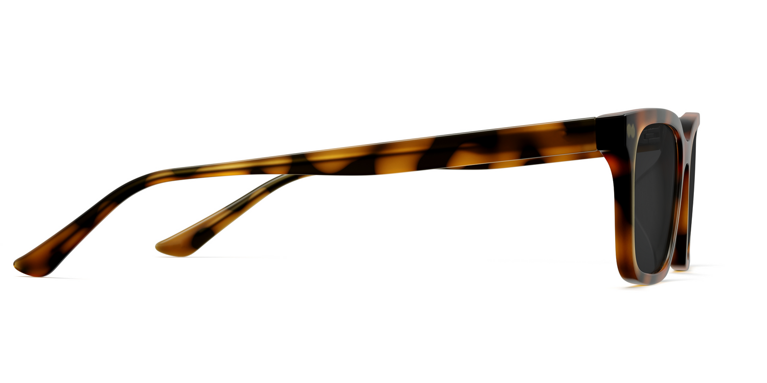 The Larkin - Tortoise Sun - Carousel5 - Pair Eyewear
