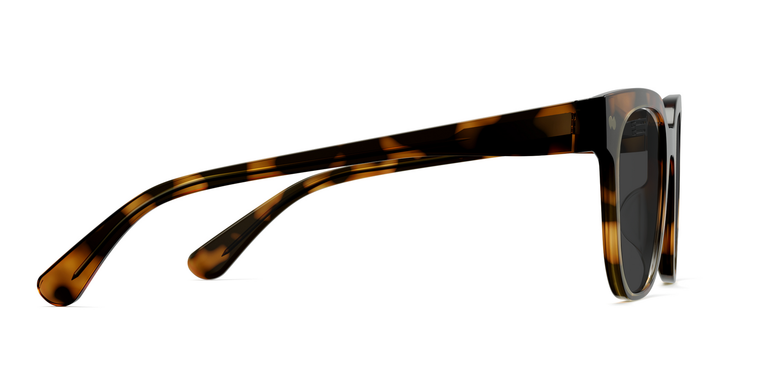 The Murphy - Tortoise Sun - Carousel5 - Pair Eyewear