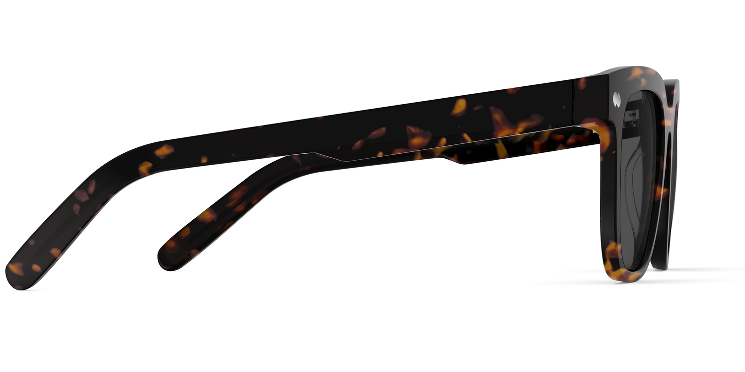 The Payton - Tortoise Sun - Carousel5 - Pair Eyewear