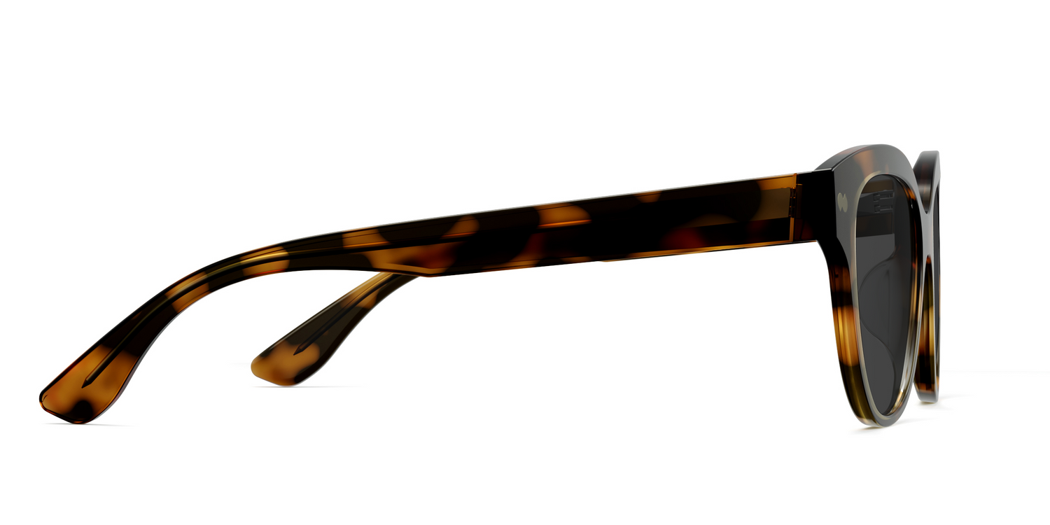 The Quinn - Tortoise Sun - Carousel5 - Pair Eyewear