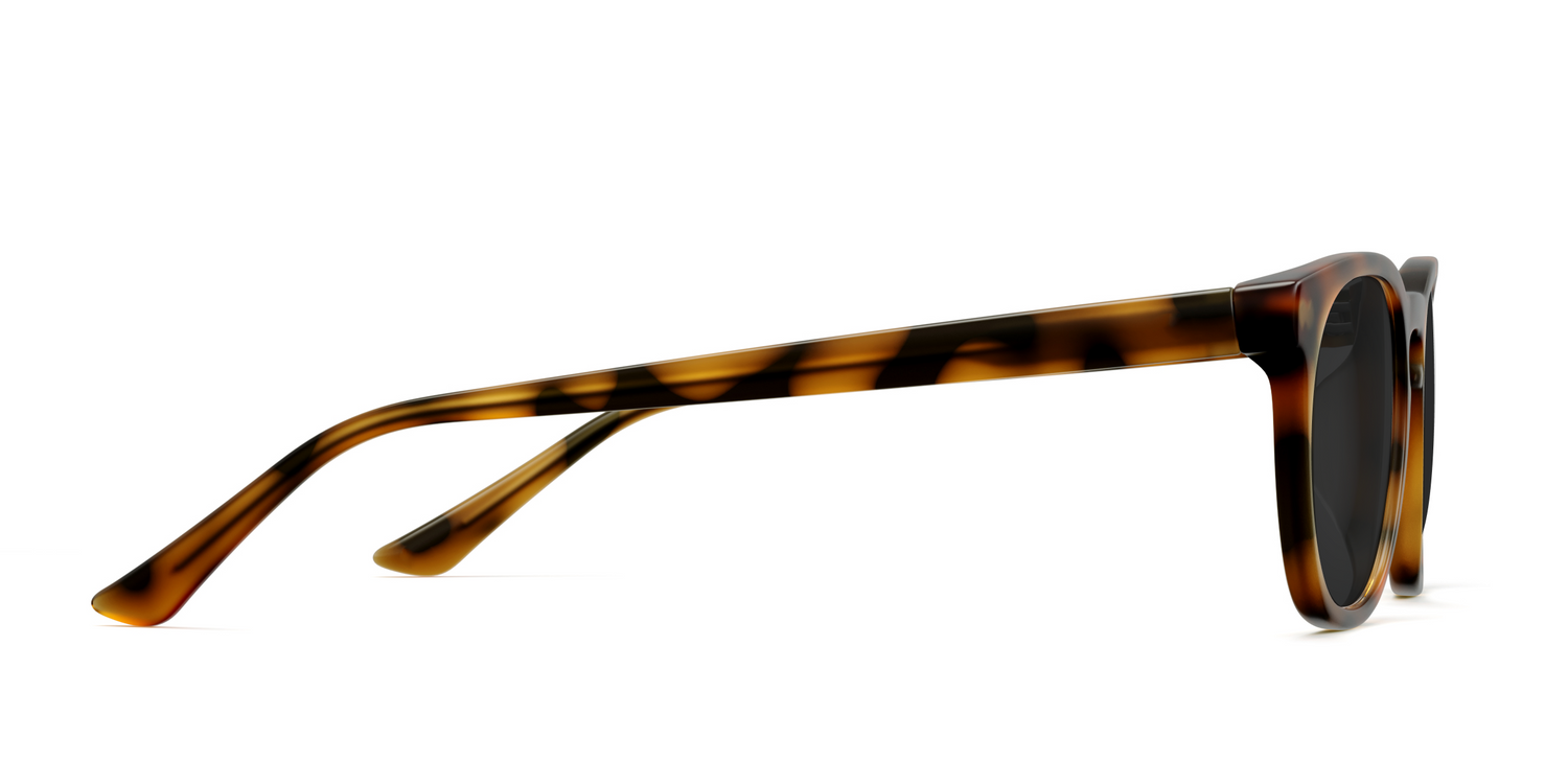 The Twain - Tortoise Sun - Carousel5 - Pair Eyewear