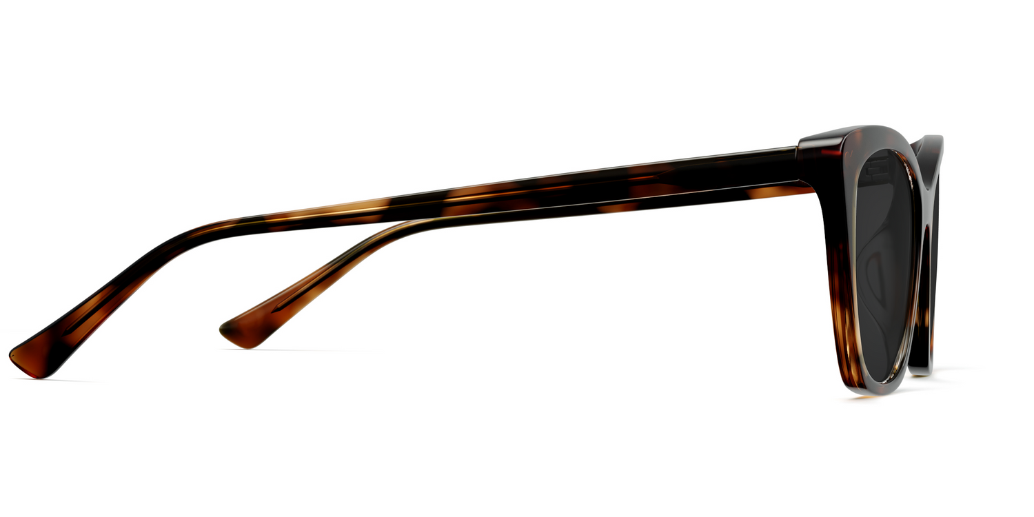 The Wanda - Tortoise Sun - Carousel5 - Pair Eyewear