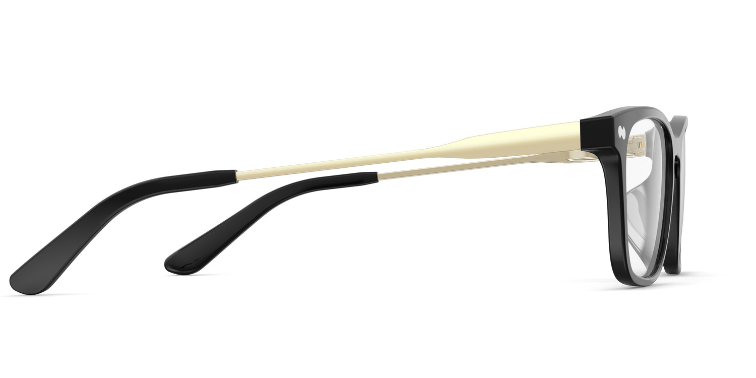The Casper - Black Acetate Gold Metal - Carousel3 - Pair Eyewear