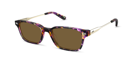 The Finley - Mixed Material - Lensless - Secondary Image - Pair Eyewear
