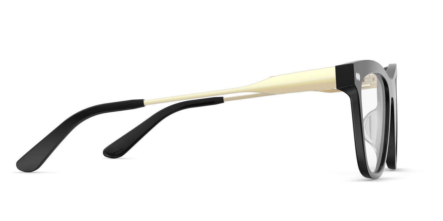 The Harper - Black Acetate Gold Metal - Carousel3 - Pair Eyewear