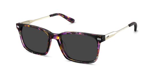 The Kirby - Purple Confetti Tortoise Acetate Gold Metal Sun - Pair Eyewear