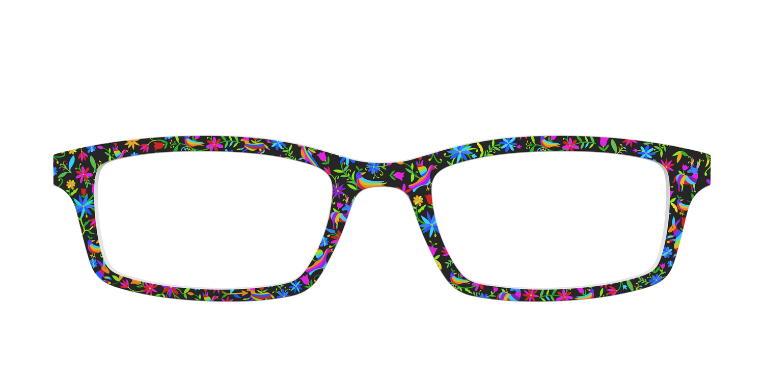 The Animals of Casa Azul - Front Top Image - Pair Eyewear