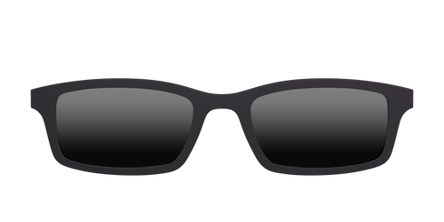 The Polarized Black Sun Top - Pair Eyewear
