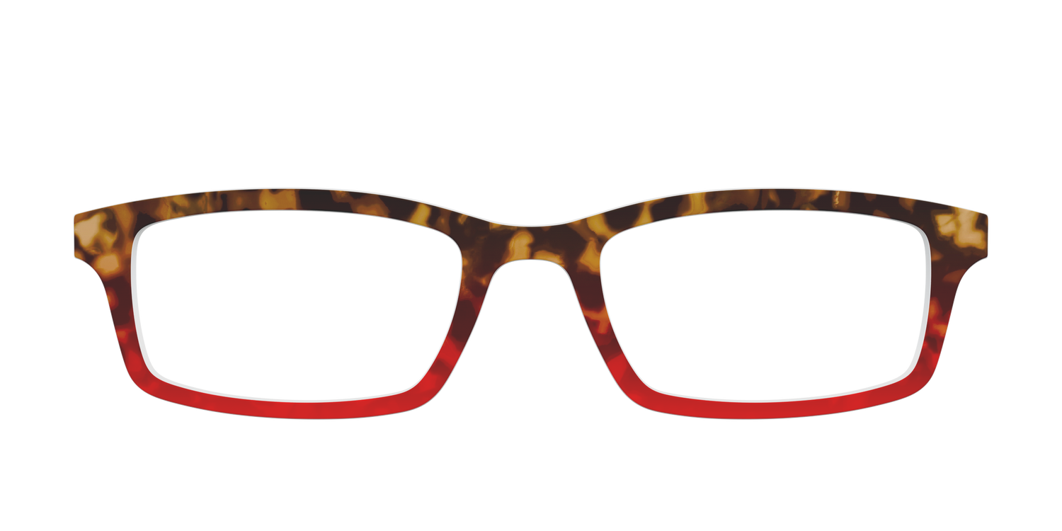 The Harvest Tortoise - Front Top Image - Pair Eyewear
