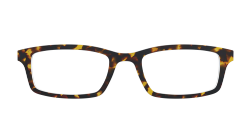 The Tortoise - Pair Eyewear