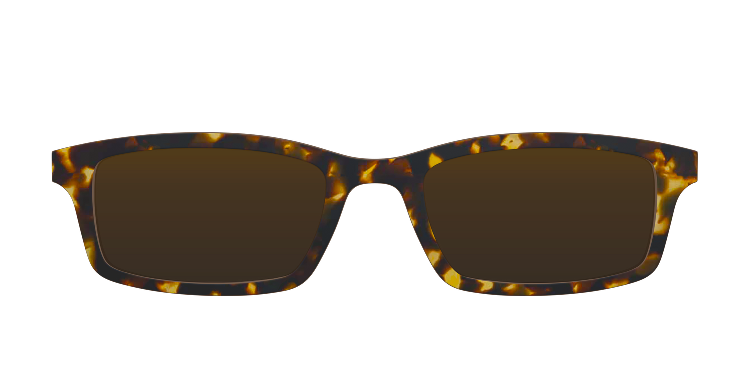 The Polarized Tortoise Sun Top - Front Top Image - Pair Eyewear