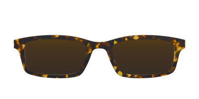 The Polarized Tortoise Sun Top - Front Top Thumbnail - Pair Eyewear