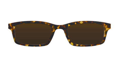 The Polarized Tortoise Sun Top - Pair Eyewear