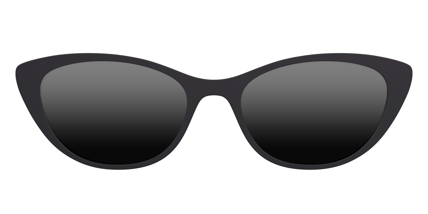 The Polarized Black Sun Top - Front Top Image - Pair Eyewear