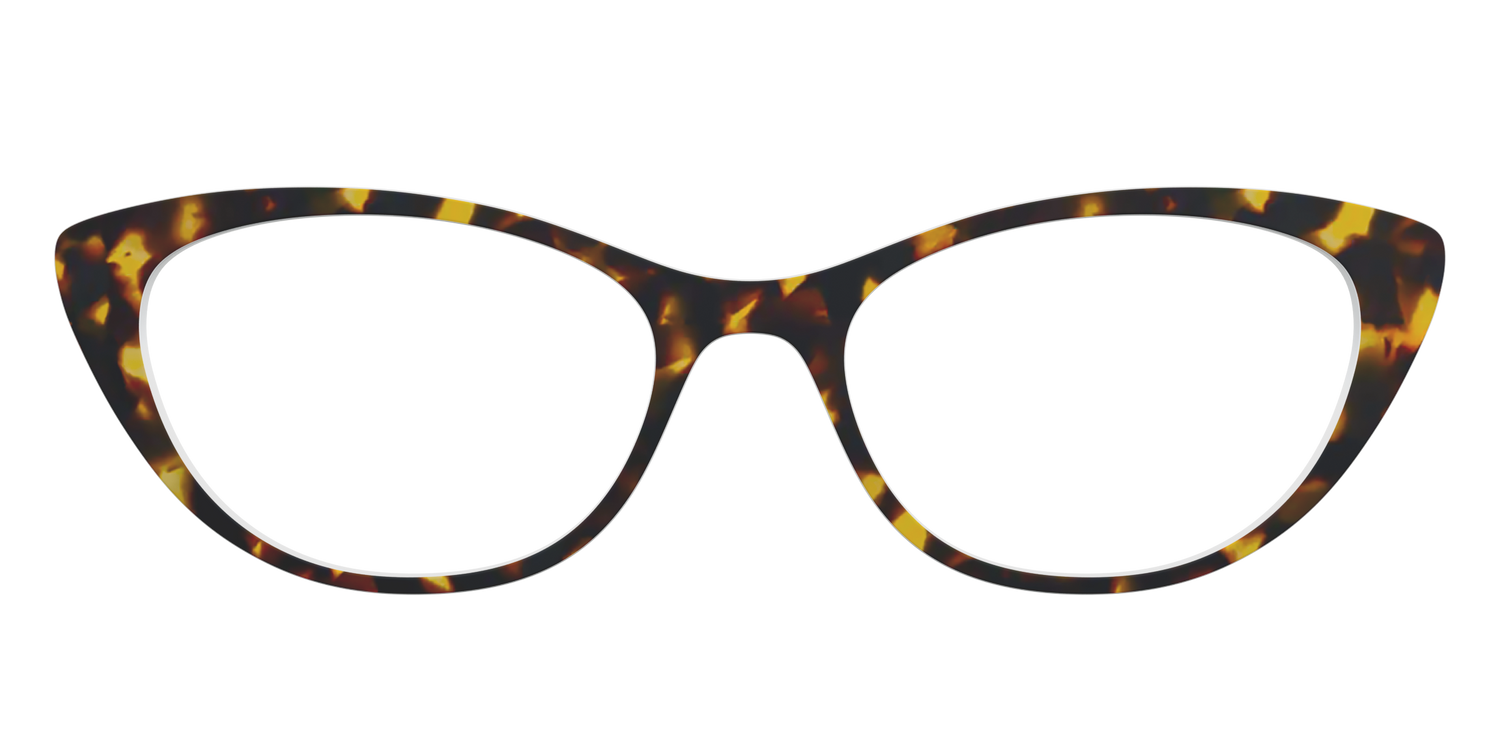 The Tortoise - Front Top Image - Pair Eyewear