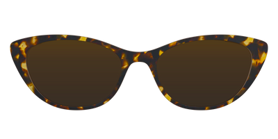 The Polarized Tortoise Sun Top - Front Top Thumbnail - Pair Eyewear