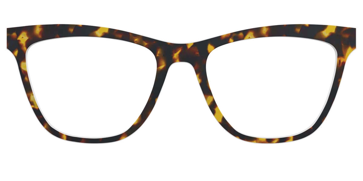 The Tortoise - Front Top Image - Pair Eyewear