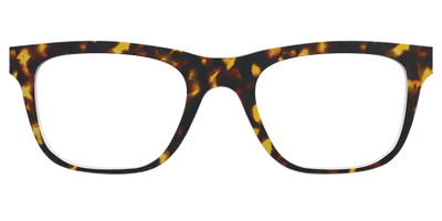 The Tortoise - Front Top Thumbnail - Pair Eyewear