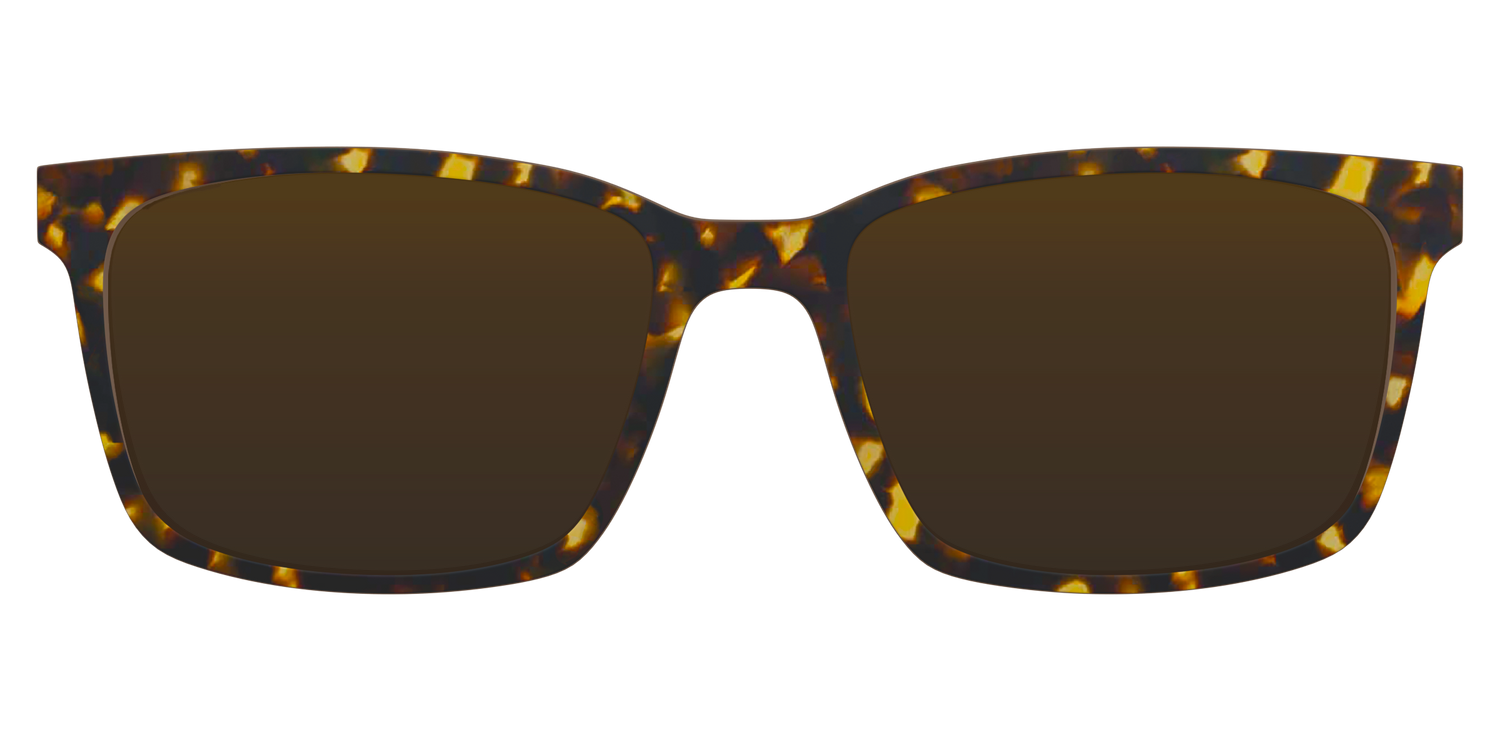 The Polarized Tortoise Sun Top - Lifestyle Kirby Top Image - Pair Eyewear