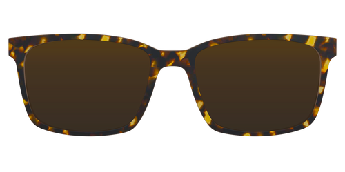 The Polarized Tortoise Sun Top - Kirby Top - Pair Eyewear