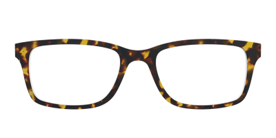 The Tortoise - Front Top Thumbnail - Pair Eyewear