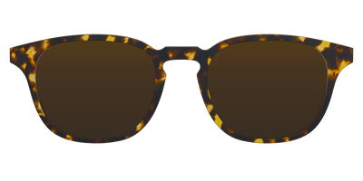 The Polarized Tortoise Sun Top - Front Top Thumbnail - Pair Eyewear