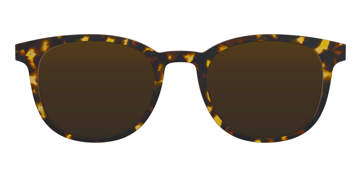 The Polarized Tortoise Sun Top - Front Top Image - Pair Eyewear