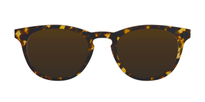 The Polarized Tortoise Sun Top - Front Top Thumbnail - Pair Eyewear