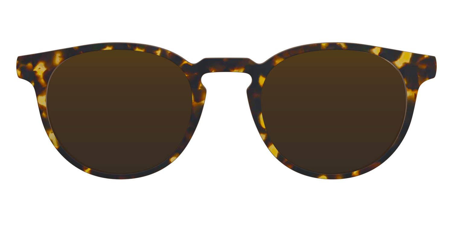The Polarized Tortoise Sun Top - Front Top Image - Pair Eyewear