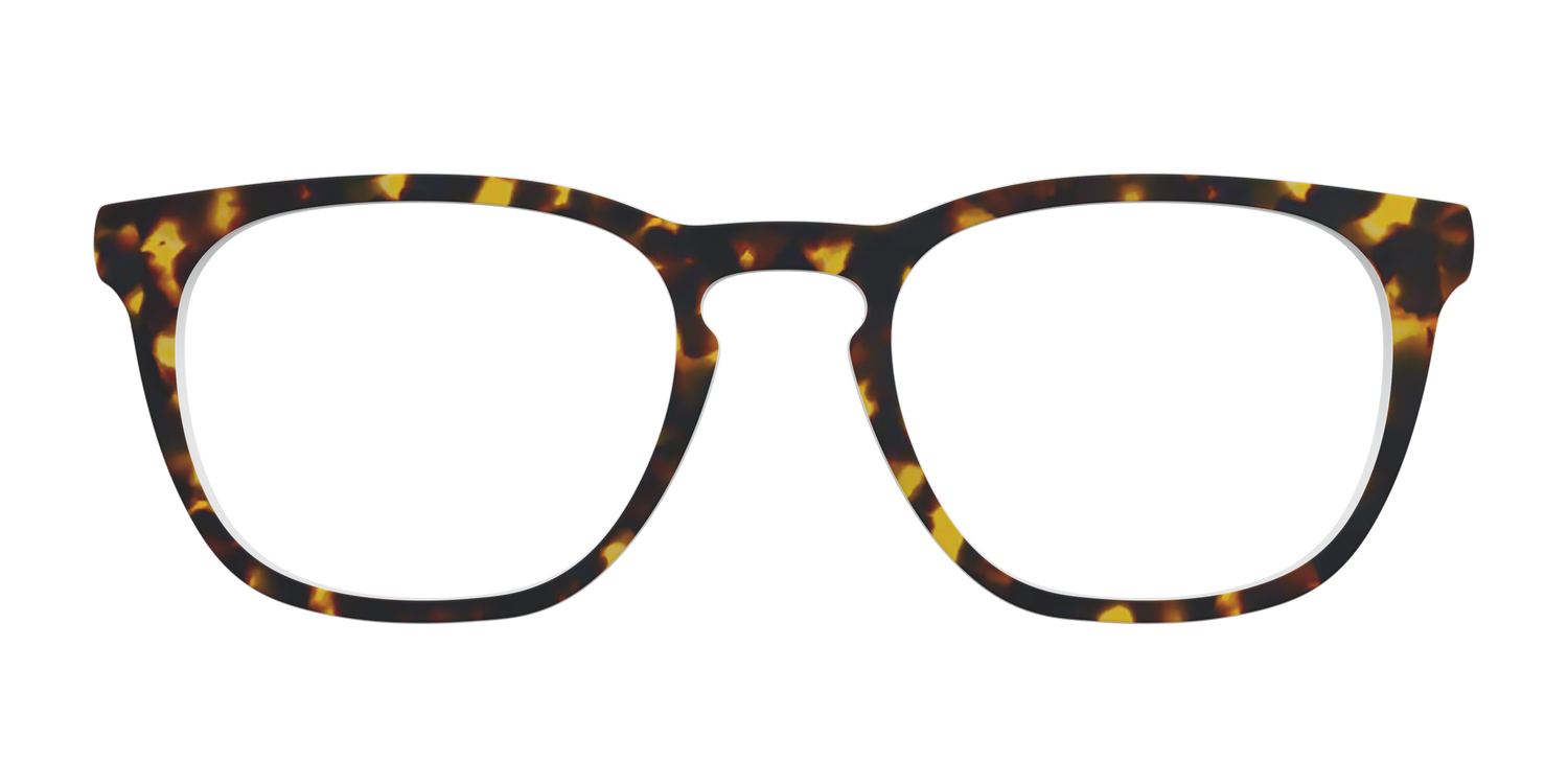 The Tortoise - Front Top Image - Pair Eyewear