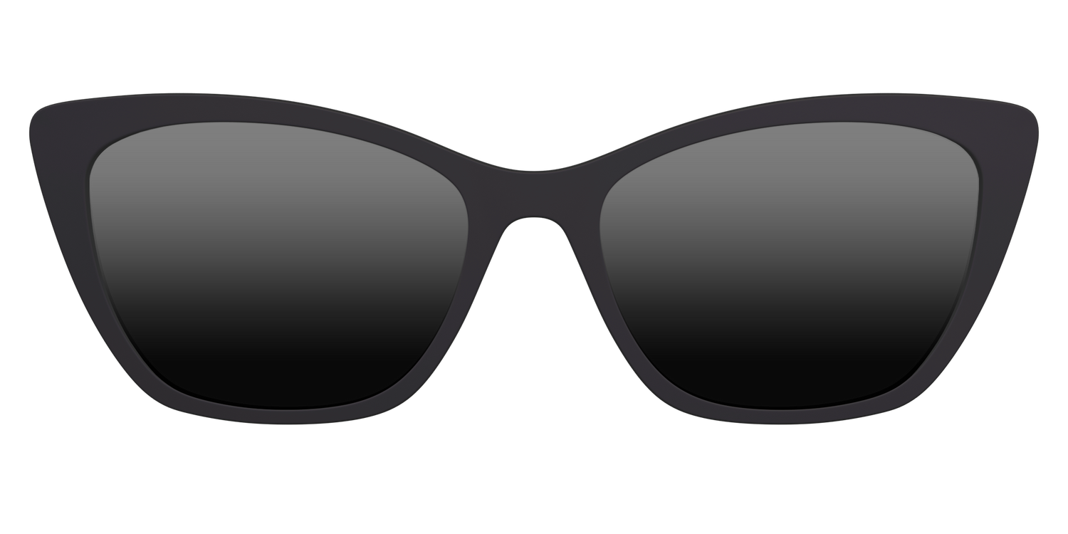 The Polarized Black Sun Top - Front Top Image - Pair Eyewear
