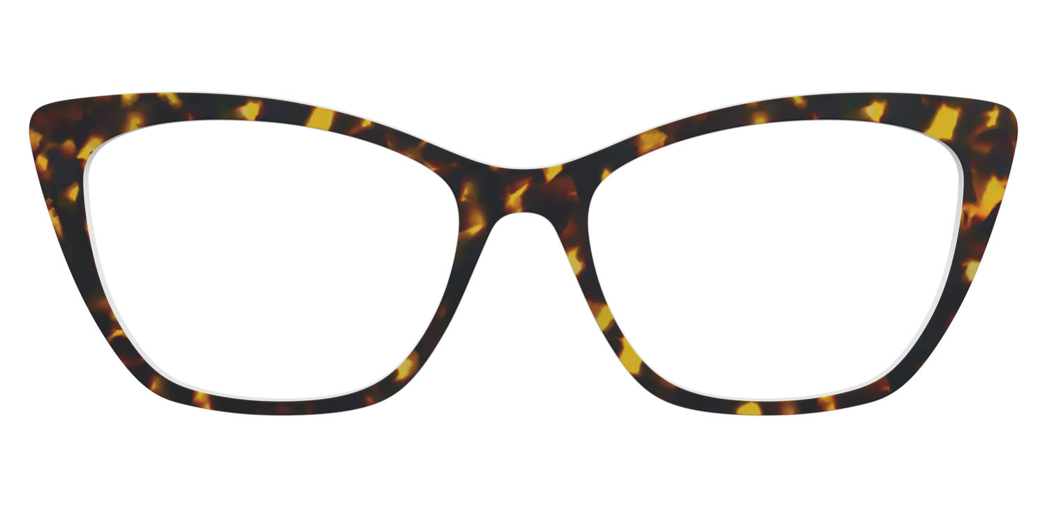 The Tortoise - Front Top Image - Pair Eyewear