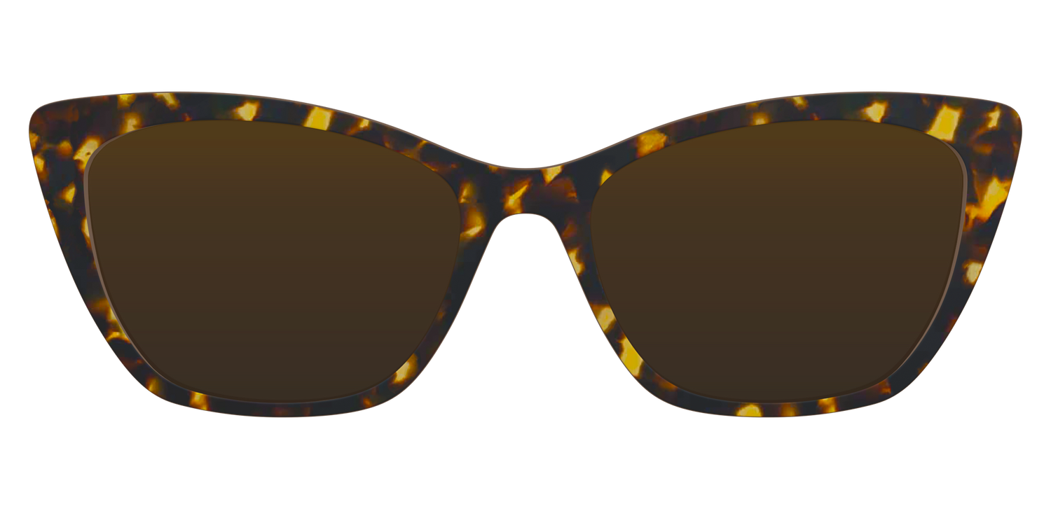 The Polarized Tortoise Sun Top - Front Top Image - Pair Eyewear