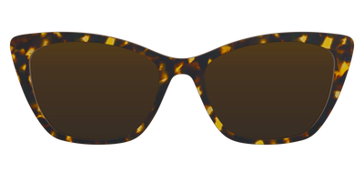 The Polarized Tortoise Sun Top - Front Top Thumbnail - Pair Eyewear