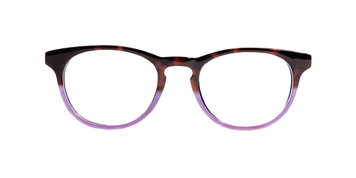 The Purple Tortoise - Pair Eyewear
